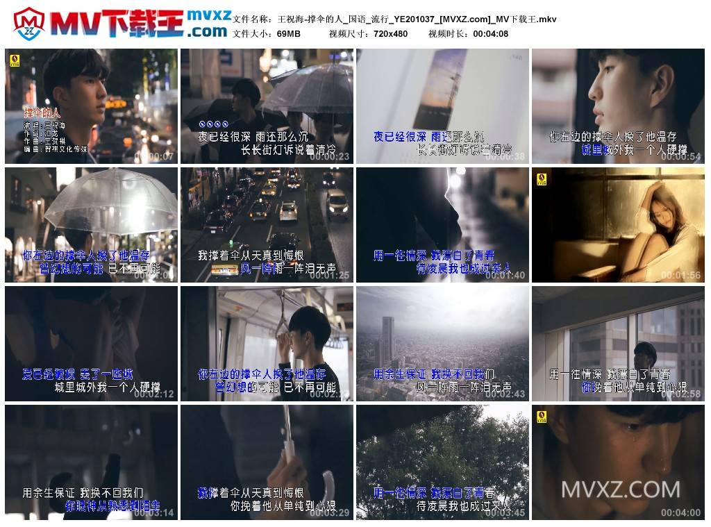 王祝海-撑伞的人_国语_流行_YE201037